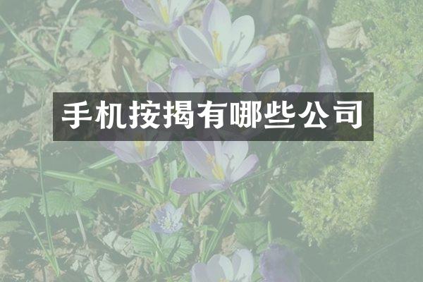 手机按揭有哪些公司