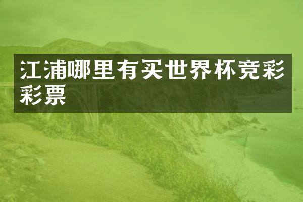 江浦哪里有买世界杯竞彩彩票