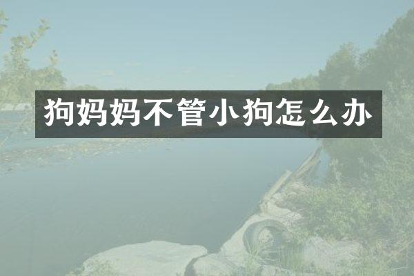 狗妈妈不管小狗怎么办