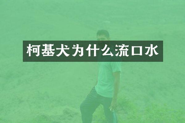 柯基犬为什么流口水