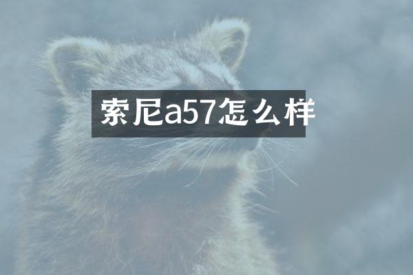 索尼a57怎么样