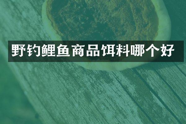 野钓鲤鱼商品饵料哪个好