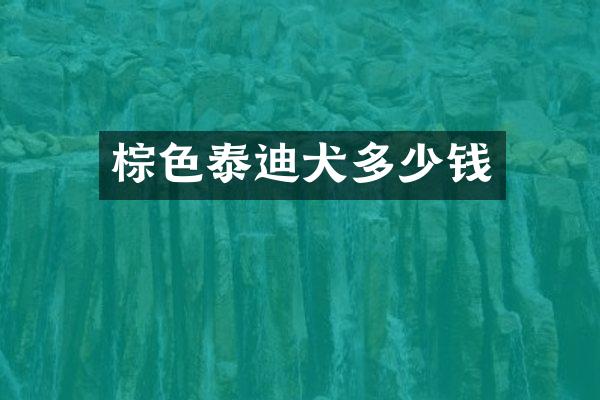 棕色泰迪犬多少钱