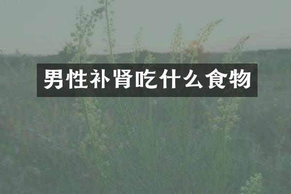 男性补肾吃什么食物