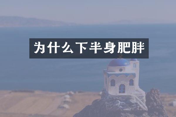 为什么下半身肥胖