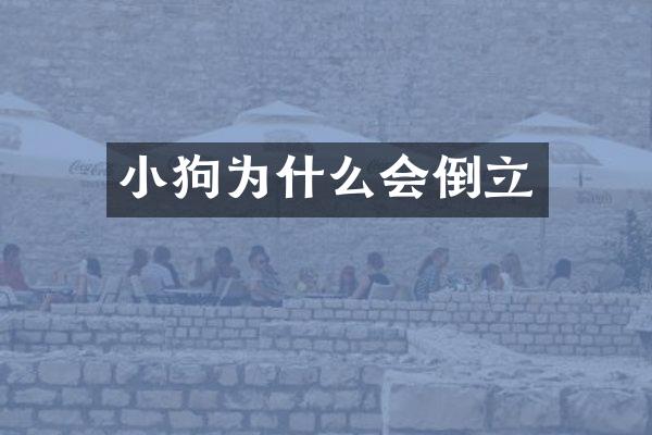 小狗为什么会倒立