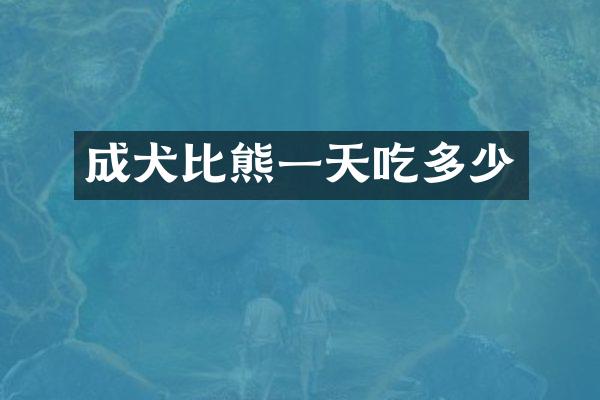成犬比熊一天吃多少