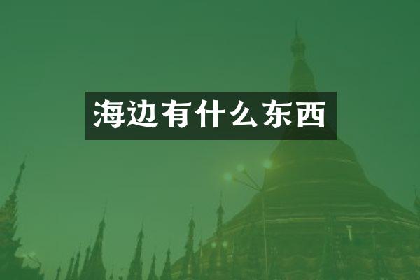 海边有什么东西