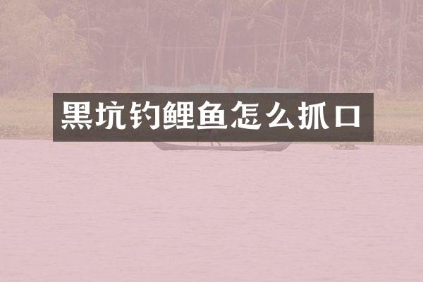 黑坑钓鲤鱼怎么抓口