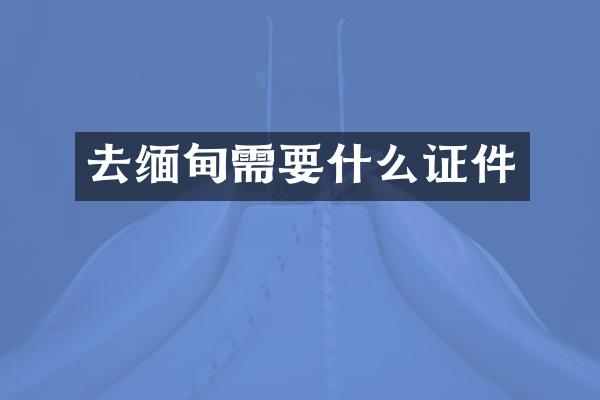 去缅甸需要什么证件