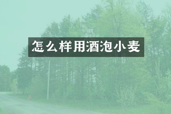 怎么样用酒泡小麦