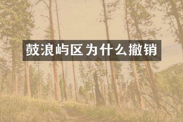 鼓浪屿区为什么撤销