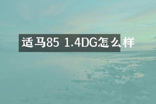 适马85 1.4DG怎么样