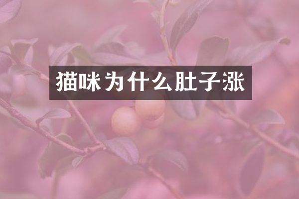 猫咪为什么肚子涨