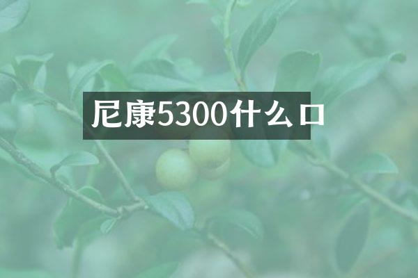 尼康5300什么口