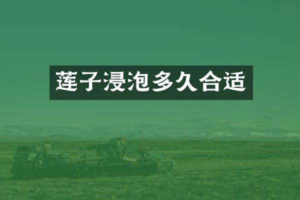 莲子浸泡多久合适