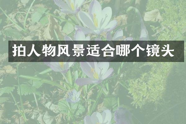 拍人物风景适合哪个镜头