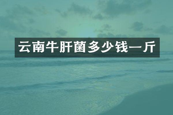 云南牛肝菌多少钱一斤