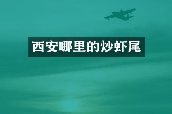 西安哪里的炒虾尾
