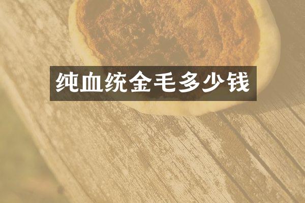 纯血统金毛多少钱