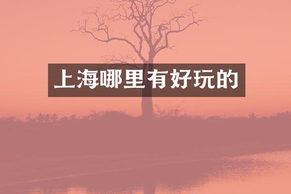 上海哪里有好玩的