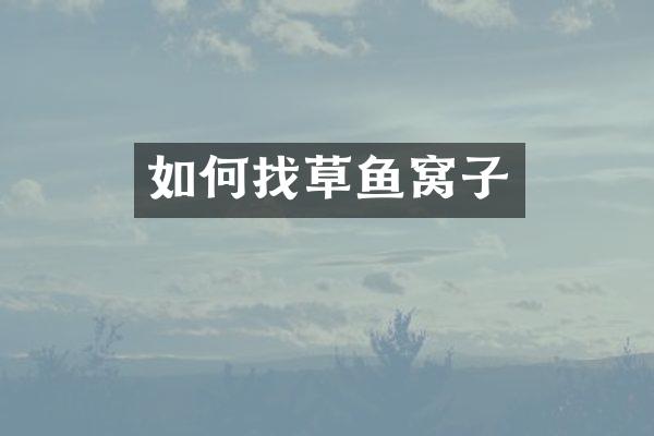 如何找草鱼窝子