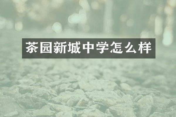 茶园新城中学怎么样