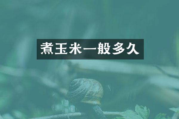 煮玉米一般多久