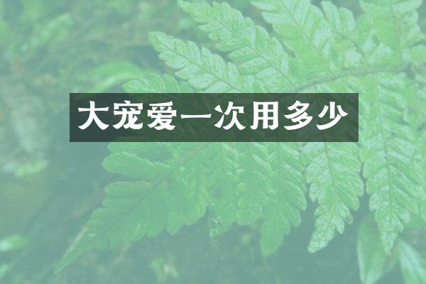 大宠爱一次用多少