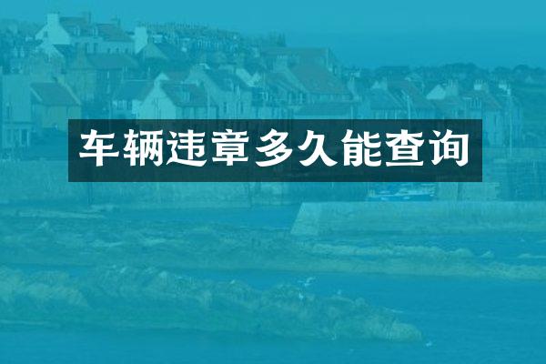 车辆违章多久能查询