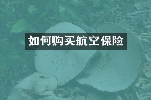 如何购买航空保险