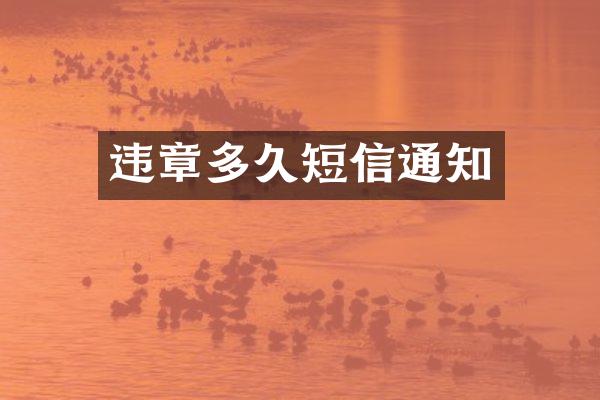 违章多久短信通知