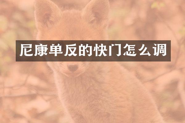 尼康单反的快门怎么调