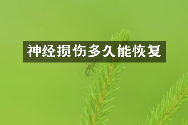 神经损伤多久能恢复