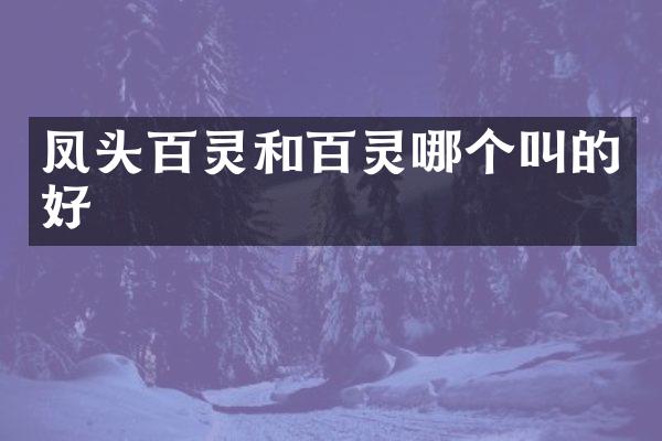 凤头百灵和百灵哪个叫的好