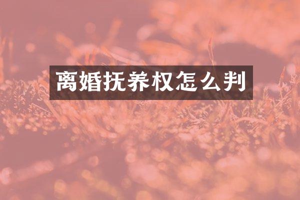 离婚抚养权怎么判