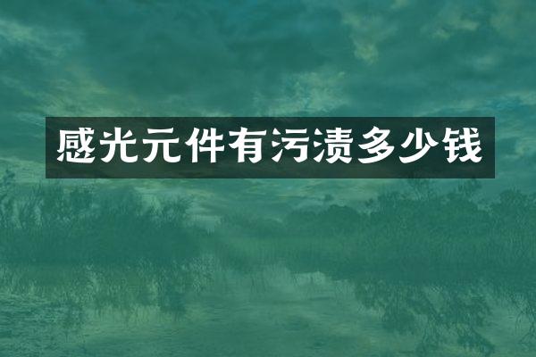 感光元件有污渍多少钱