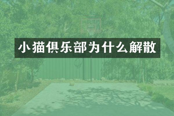 小猫俱乐部为什么解散