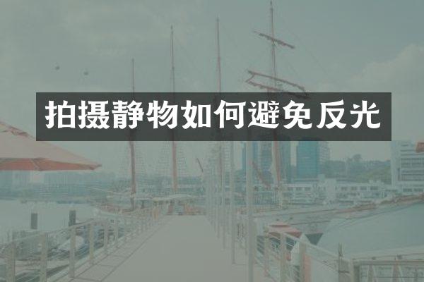 拍摄静物如何避免反光