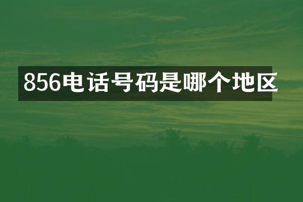 856电话号码是哪个地区