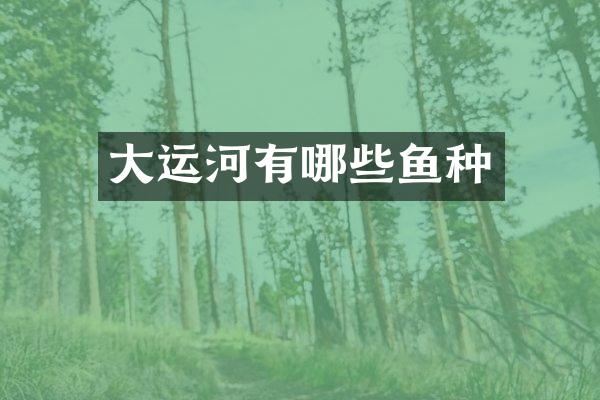 大运河有哪些鱼种