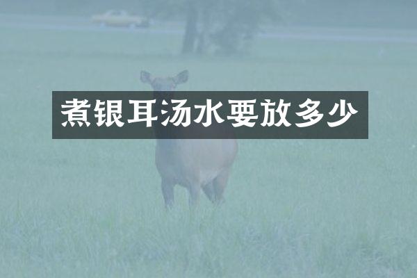 煮银耳汤水要放多少