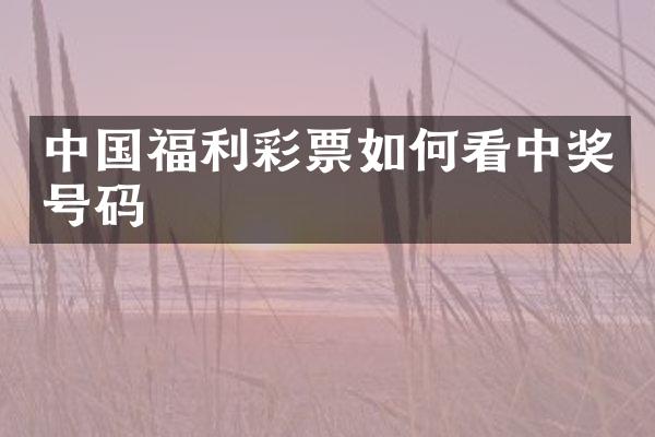 中国福利彩票如何看中奖号码