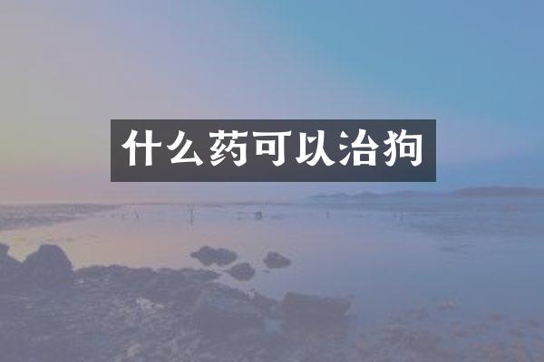 什么药可以治狗
