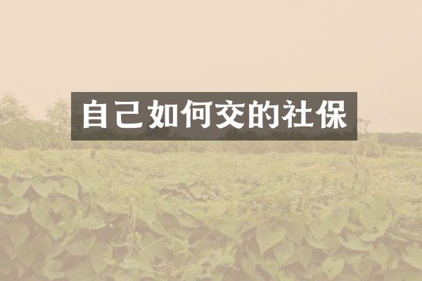 自己如何交的社保