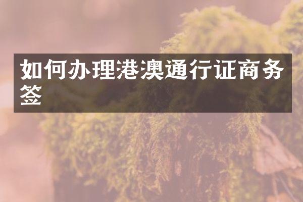 如何办理港澳通行证商务签