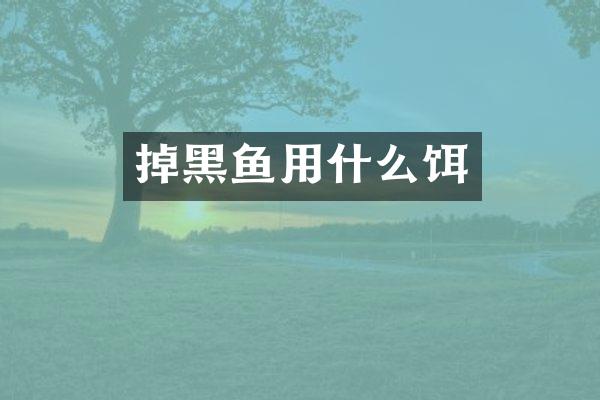 掉黑鱼用什么饵