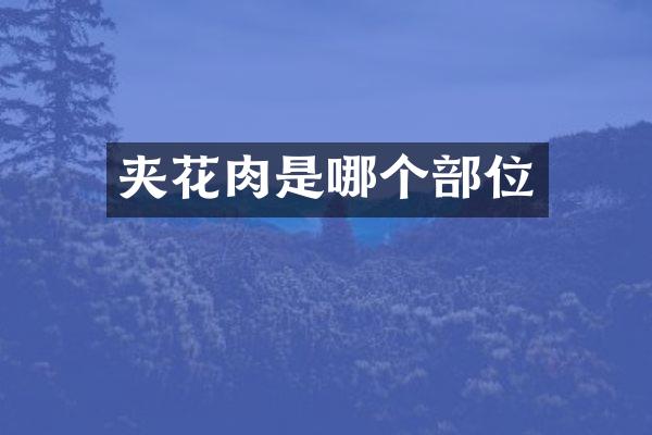 夹花肉是哪个部位