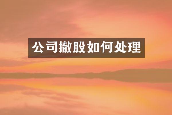 公司撤股如何处理