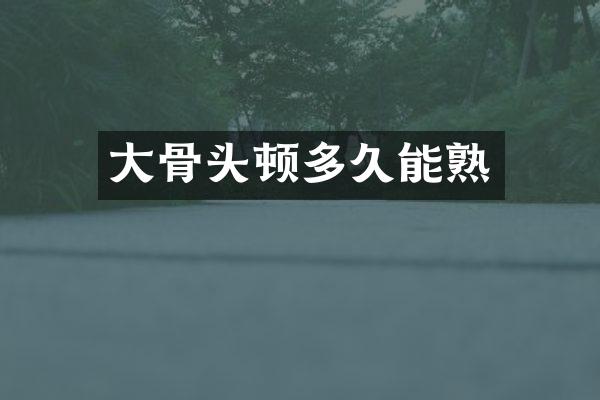 大骨头顿多久能熟